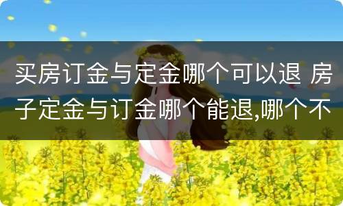 买房订金与定金哪个可以退 房子定金与订金哪个能退,哪个不能退?