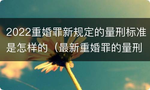 2022重婚罪新规定的量刑标准是怎样的（最新重婚罪的量刑标准）