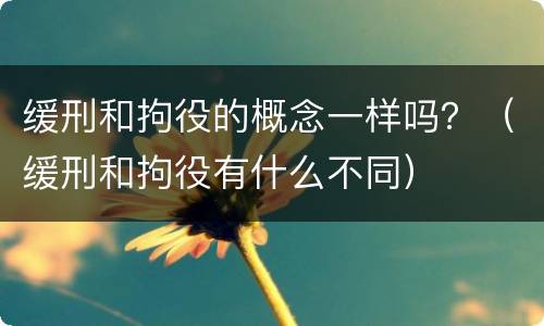 缓刑和拘役的概念一样吗？（缓刑和拘役有什么不同）