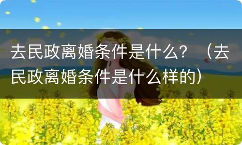 去民政离婚条件是什么？（去民政离婚条件是什么样的）