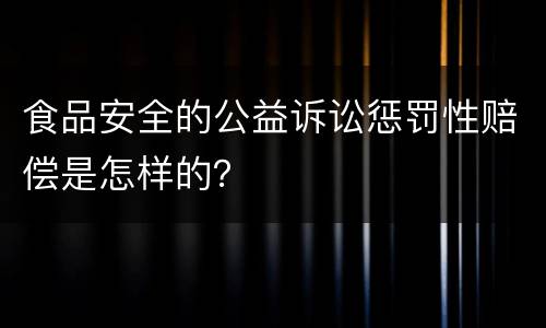 食品安全的公益诉讼惩罚性赔偿是怎样的？