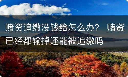 赌资追缴没钱给怎么办？ 赌资已经都输掉还能被追缴吗