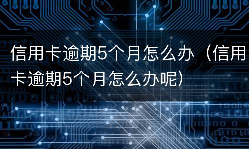 信用卡逾期5个月怎么办（信用卡逾期5个月怎么办呢）
