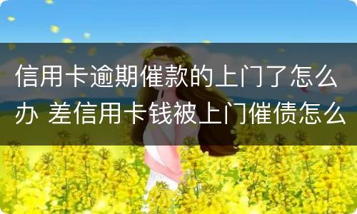 信用卡逾期催款的上门了怎么办 差信用卡钱被上门催债怎么办