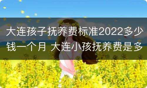 大连孩子抚养费标准2022多少钱一个月 大连小孩抚养费是多少钱一个月