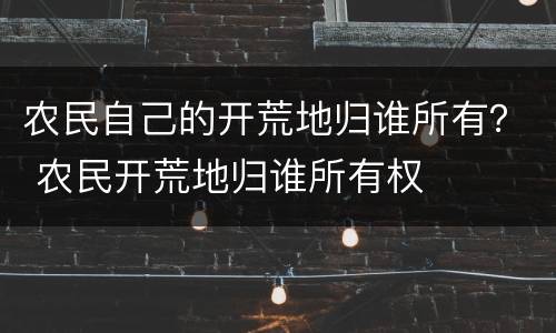 农民自己的开荒地归谁所有？ 农民开荒地归谁所有权