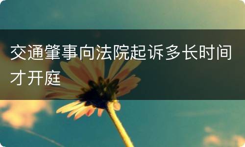 交通肇事向法院起诉多长时间才开庭