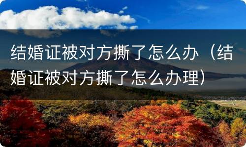 结婚证被对方撕了怎么办（结婚证被对方撕了怎么办理）