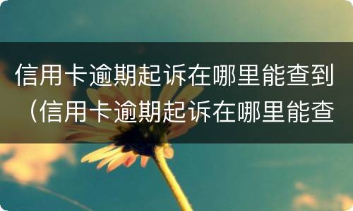 信用卡逾期起诉在哪里能查到（信用卡逾期起诉在哪里能查到案底）
