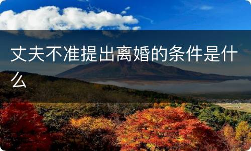 丈夫不准提出离婚的条件是什么