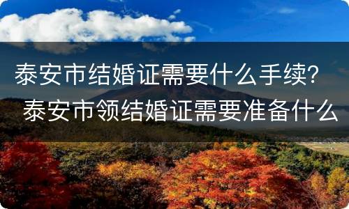 泰安市结婚证需要什么手续？ 泰安市领结婚证需要准备什么