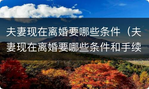 夫妻现在离婚要哪些条件（夫妻现在离婚要哪些条件和手续）