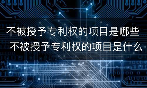 不被授予专利权的项目是哪些 不被授予专利权的项目是什么