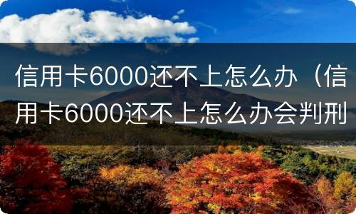 信用卡6000还不上怎么办（信用卡6000还不上怎么办会判刑吗）
