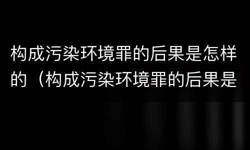 构成污染环境罪的后果是怎样的（构成污染环境罪的后果是怎样的呢）