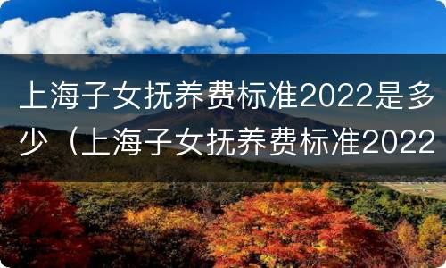 上海子女抚养费标准2022是多少（上海子女抚养费标准2022是多少钱）