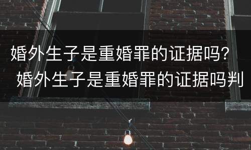 婚外生子是重婚罪的证据吗？ 婚外生子是重婚罪的证据吗判几年