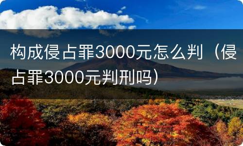 构成侵占罪3000元怎么判（侵占罪3000元判刑吗）