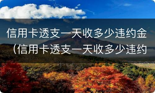 信用卡透支一天收多少违约金（信用卡透支一天收多少违约金合适）