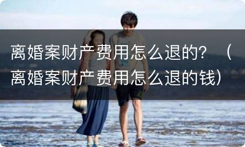离婚案财产费用怎么退的？（离婚案财产费用怎么退的钱）