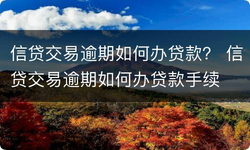 信贷交易逾期如何办贷款？ 信贷交易逾期如何办贷款手续