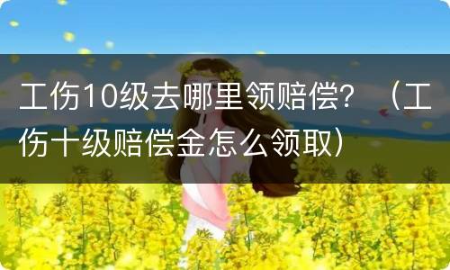 工伤10级去哪里领赔偿？（工伤十级赔偿金怎么领取）