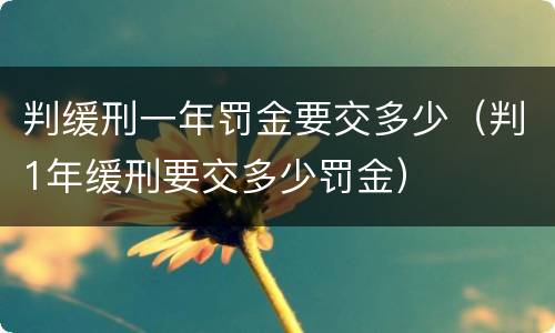 判缓刑一年罚金要交多少（判1年缓刑要交多少罚金）