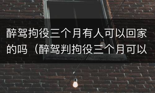 醉驾拘役三个月有人可以回家的吗（醉驾判拘役三个月可以每个月回家一天吗）