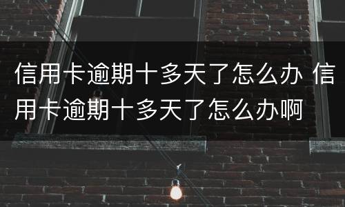 信用卡逾期十多天了怎么办 信用卡逾期十多天了怎么办啊