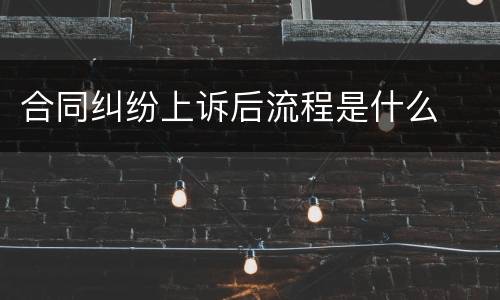 合同纠纷上诉后流程是什么