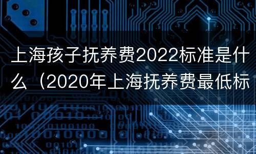 上海孩子抚养费2022标准是什么（2020年上海抚养费最低标准）