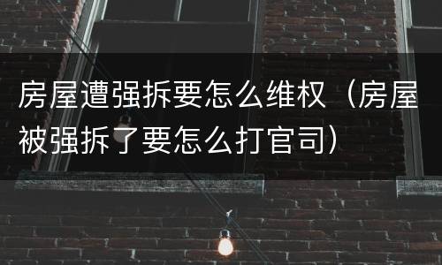 房屋遭强拆要怎么维权（房屋被强拆了要怎么打官司）
