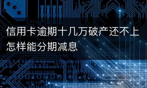 信用卡逾期十几万破产还不上怎样能分期减息