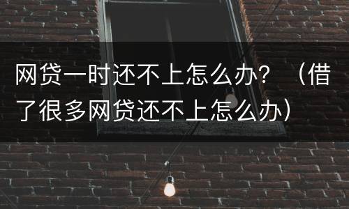 网贷一时还不上怎么办？（借了很多网贷还不上怎么办）