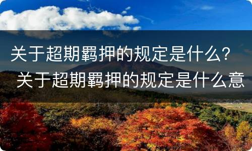 关于超期羁押的规定是什么？ 关于超期羁押的规定是什么意思