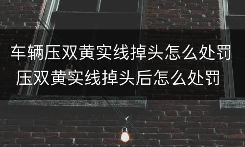 车辆压双黄实线掉头怎么处罚 压双黄实线掉头后怎么处罚