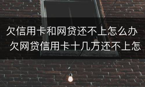 欠信用卡和网贷还不上怎么办 欠网贷信用卡十几万还不上怎么办