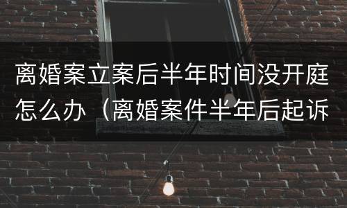离婚案立案后半年时间没开庭怎么办（离婚案件半年后起诉）