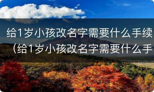 给1岁小孩改名字需要什么手续（给1岁小孩改名字需要什么手续吗）