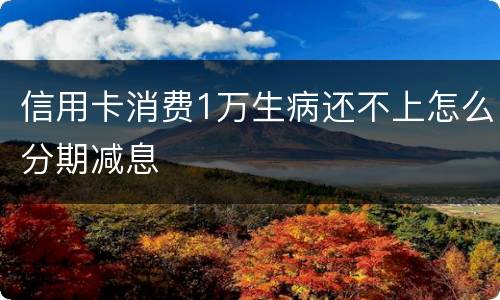 信用卡消费1万生病还不上怎么分期减息