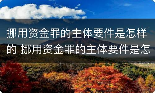 挪用资金罪的主体要件是怎样的 挪用资金罪的主体要件是怎样的
