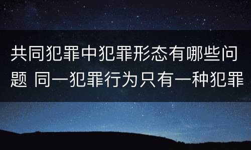 共同犯罪中犯罪形态有哪些问题 同一犯罪行为只有一种犯罪形态