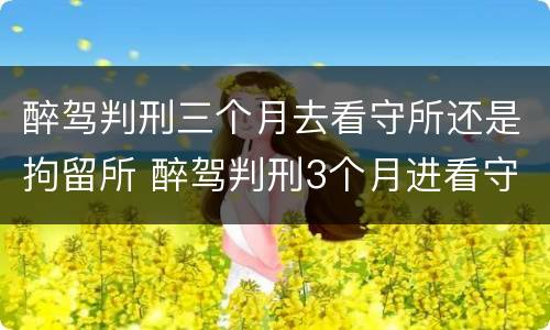 醉驾判刑三个月去看守所还是拘留所 醉驾判刑3个月进看守所可以探视吗