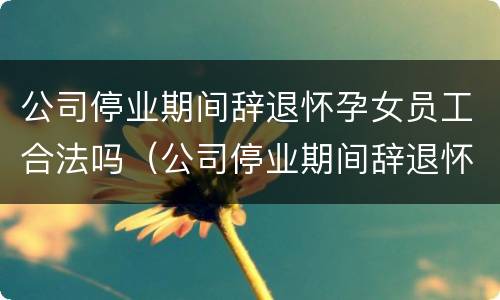 公司停业期间辞退怀孕女员工合法吗（公司停业期间辞退怀孕女员工合法吗怎么赔偿）