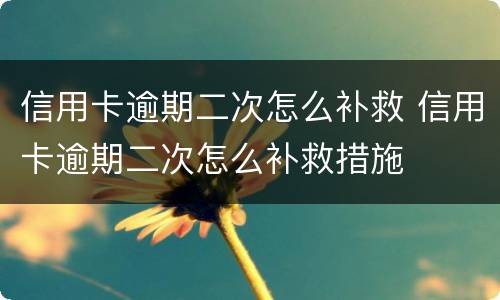 信用卡逾期二次怎么补救 信用卡逾期二次怎么补救措施