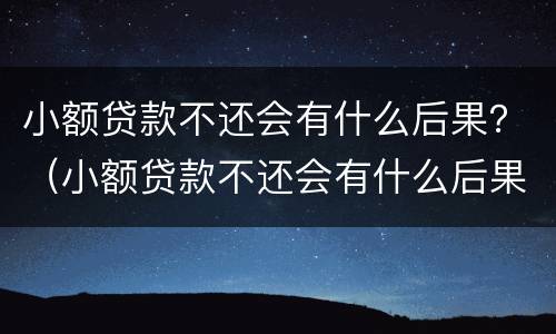 小额贷款不还会有什么后果？（小额贷款不还会有什么后果嘛）
