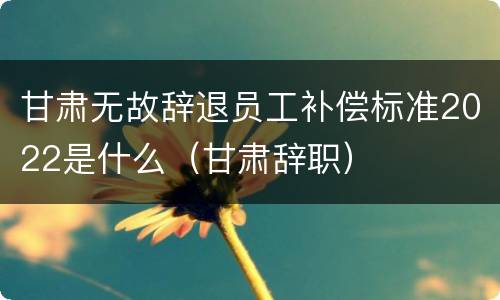 甘肃无故辞退员工补偿标准2022是什么（甘肃辞职）