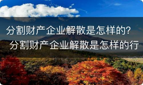 分割财产企业解散是怎样的？ 分割财产企业解散是怎样的行为