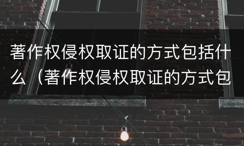 著作权侵权取证的方式包括什么（著作权侵权取证的方式包括什么内容）