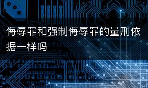 侮辱罪和强制侮辱罪的量刑依据一样吗